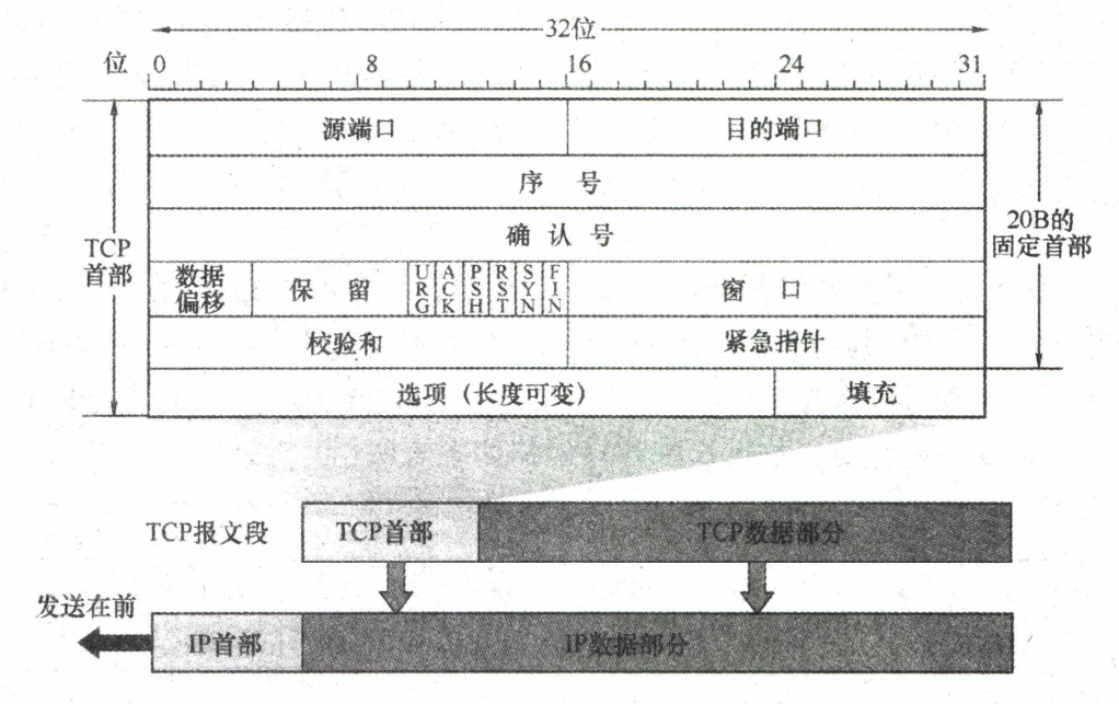 tcp protocol